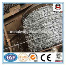 Barbed Wire Philippines Best Price Barbed Wire Machine Concertina Barbed Wire